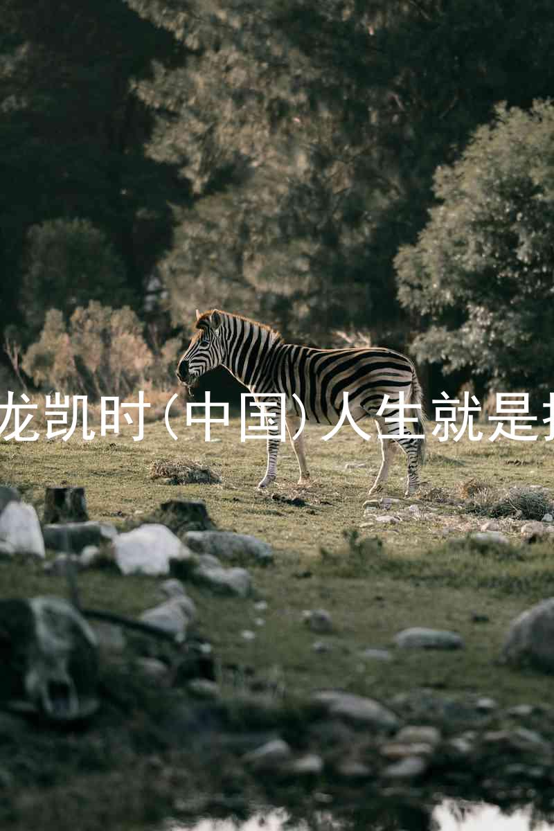 尊龙凯时(中国)人生就是搏!